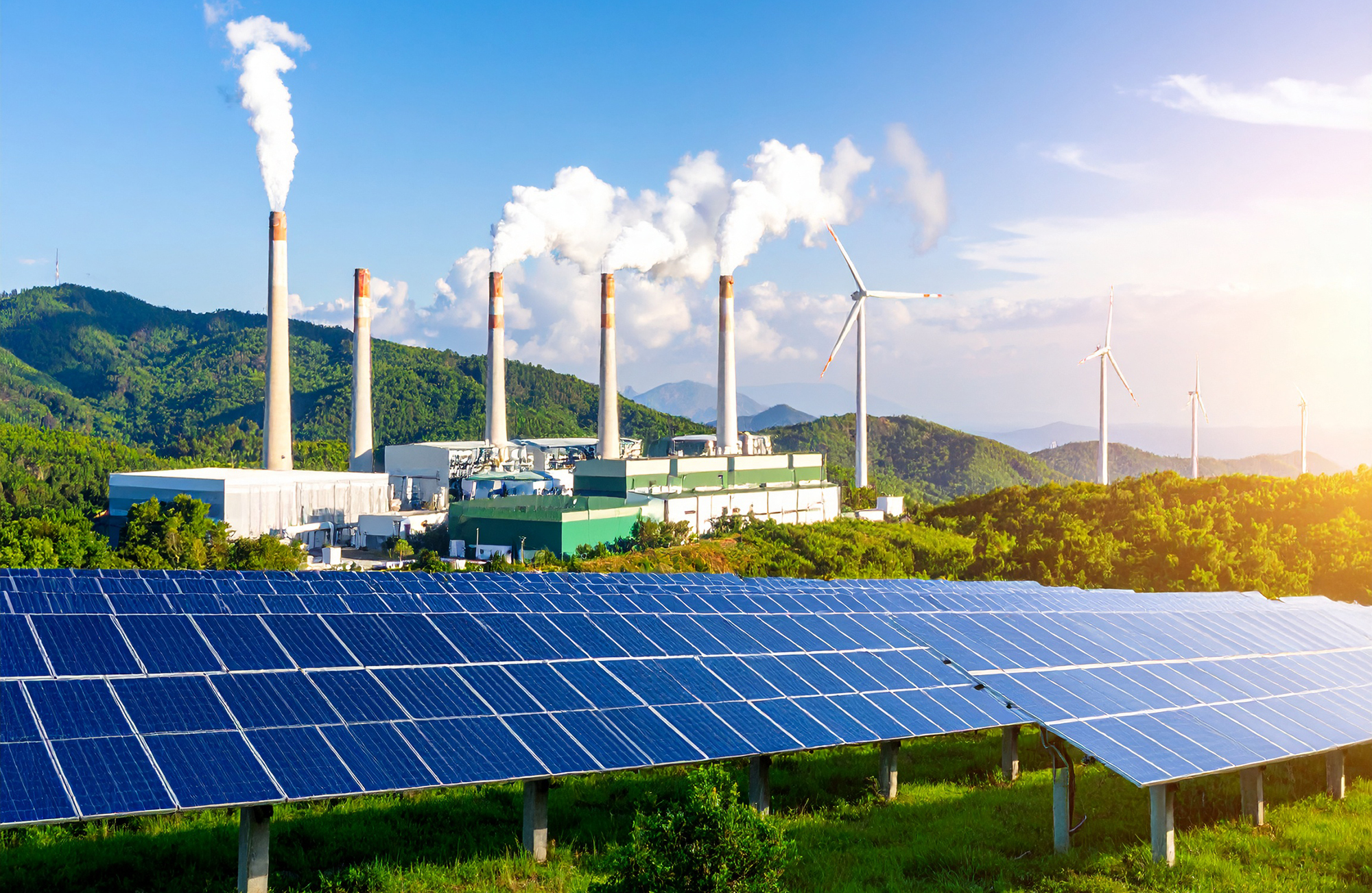 CDMB y Asociación de Orquideología de Santander presentan la 13ª Exposición Nacional de Orquídeas