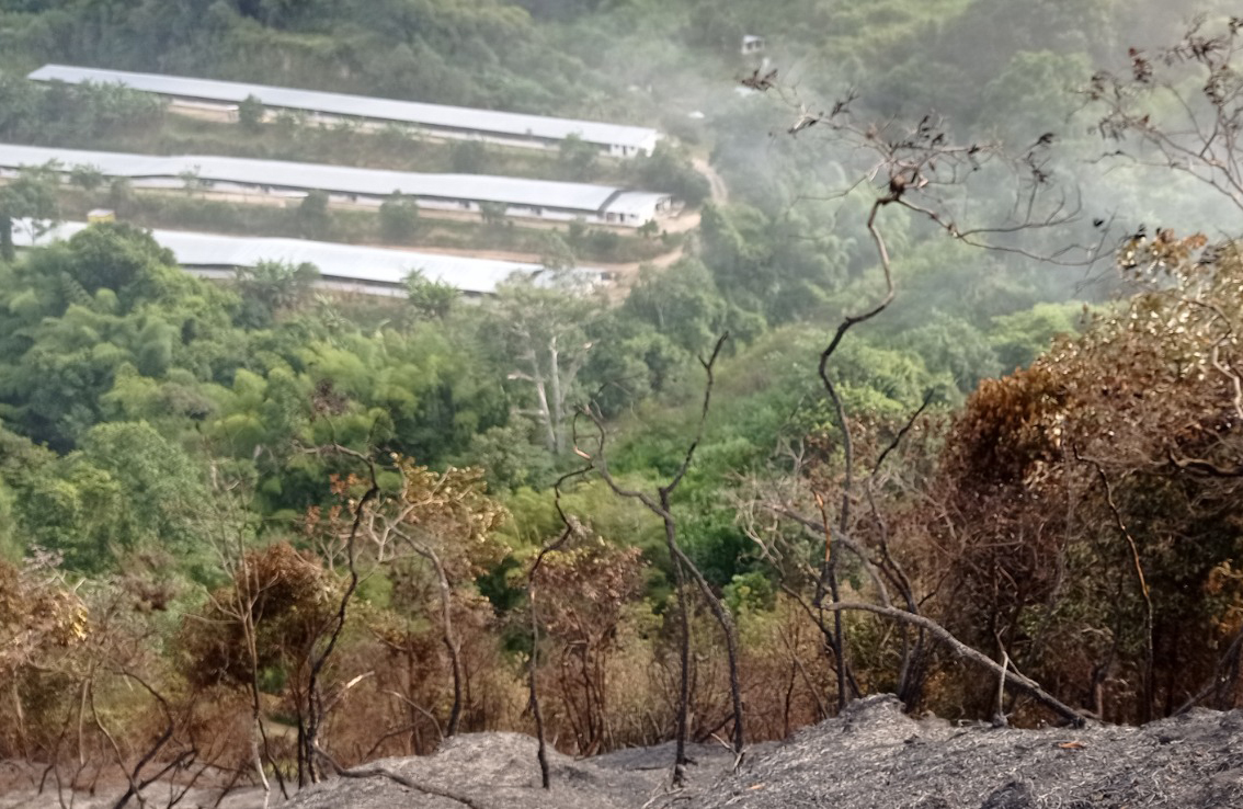 La CDMB realiza la caracterización de las afectaciones ambientales generadas por el incendio de cobertura vegetal en la vereda San Francisco, de Piedecuesta