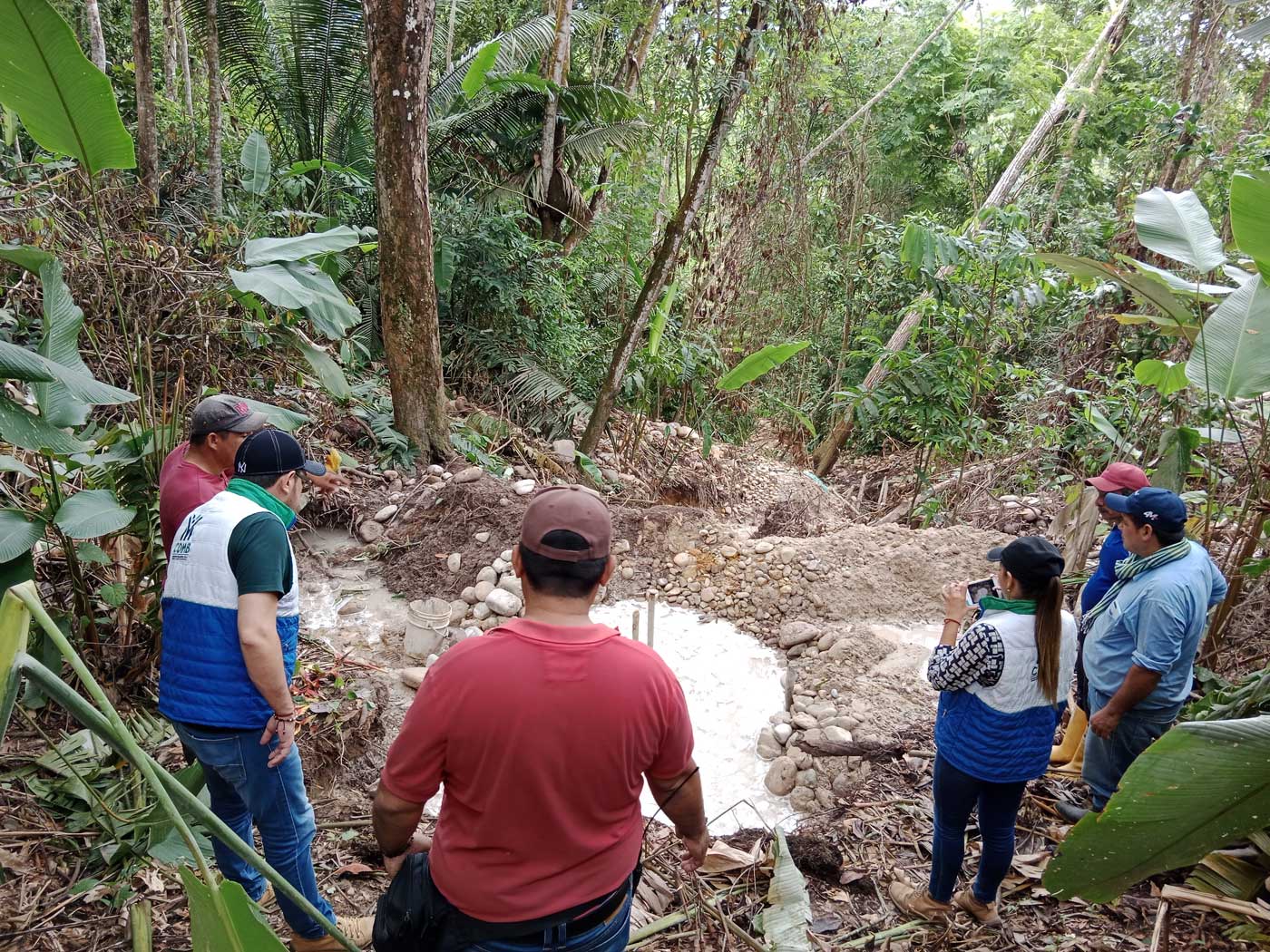 CDMB lideró 26 operativos y la captura de 80 infractores ambientales