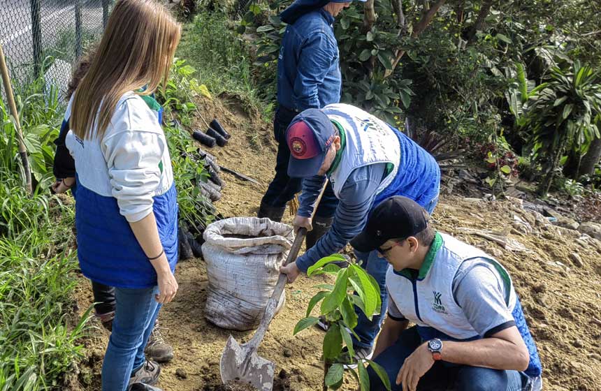 La CDMB inició la restauración forestal del predio en el Parque Regional La Judía