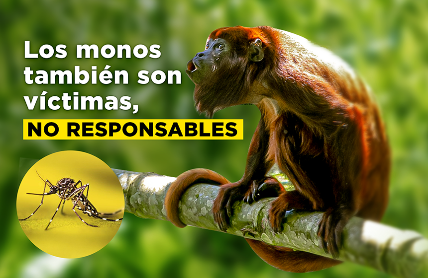 CDMB y Asociación de Orquideología de Santander presentan la 13ª Exposición Nacional de Orquídeas