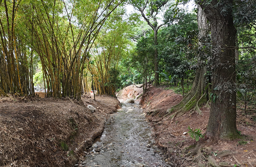 burbuja ambiental