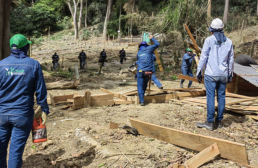 La CDMB recuperó predio en Bucaramanga devastado por invasores