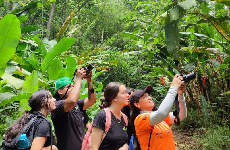 ¡Bucaramanga y su área metropolitana participan por quinta vez del City Nature Challenge 2025!