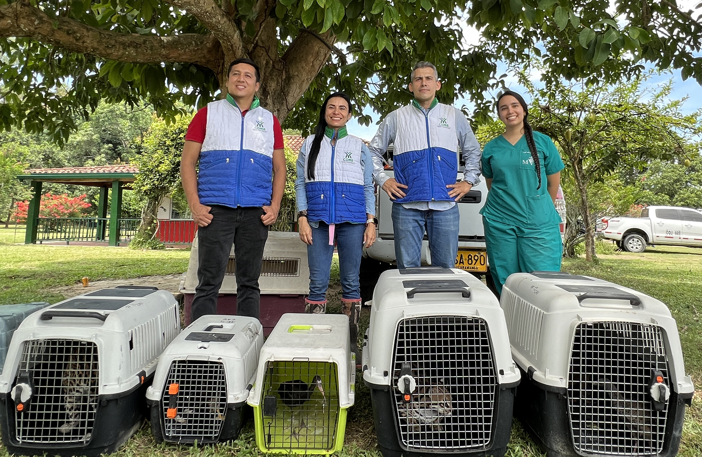 La CDMB realizó liberación de fauna silvestre en un corredor ambiental de su jurisdicción