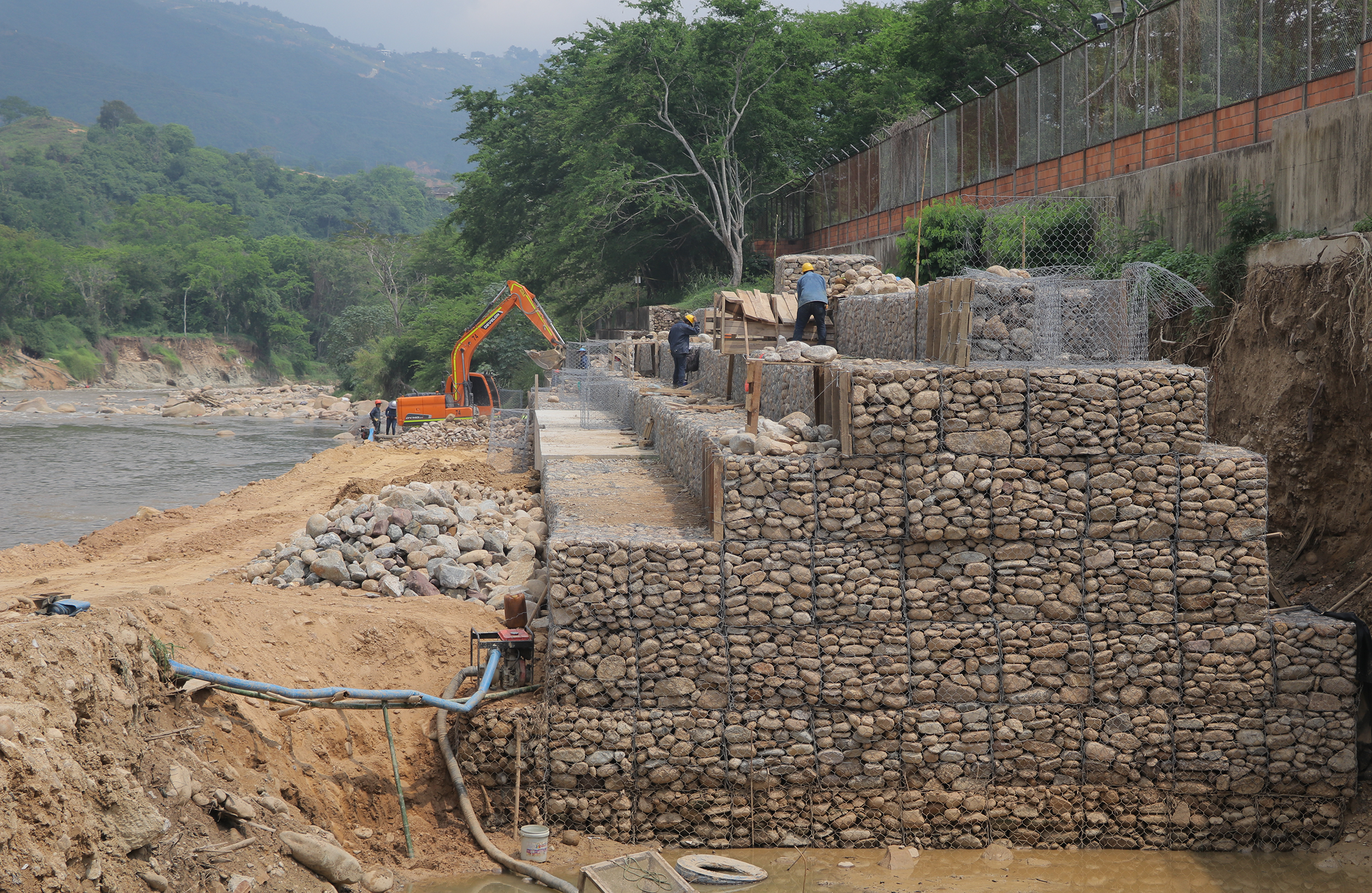 CDMB construye 820 metros de protección en el Río de Oro para salvaguardar la cadena alimenticia de los santandereanos 