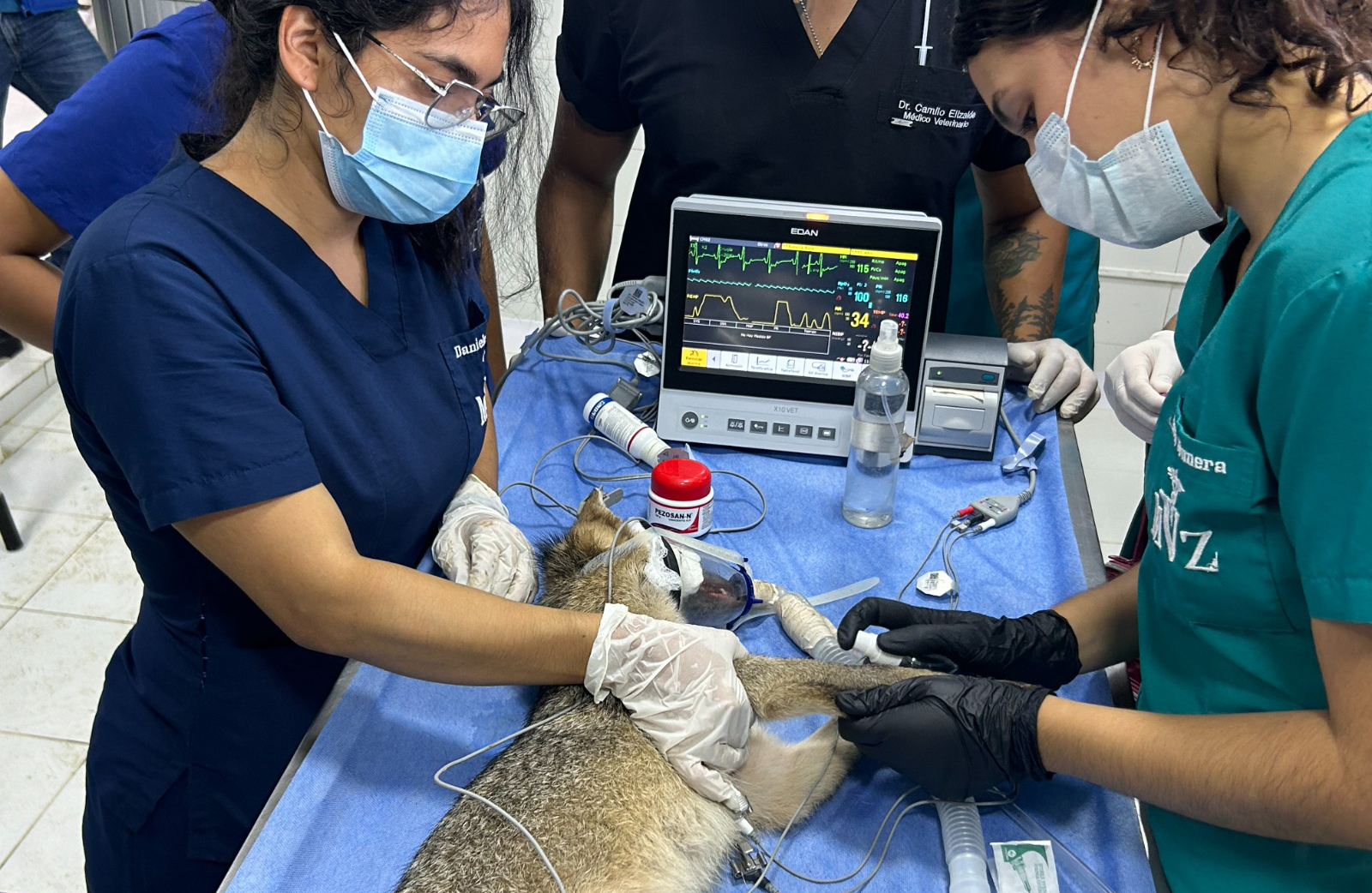 Una nueva esperanza de vida para la fauna silvestre
