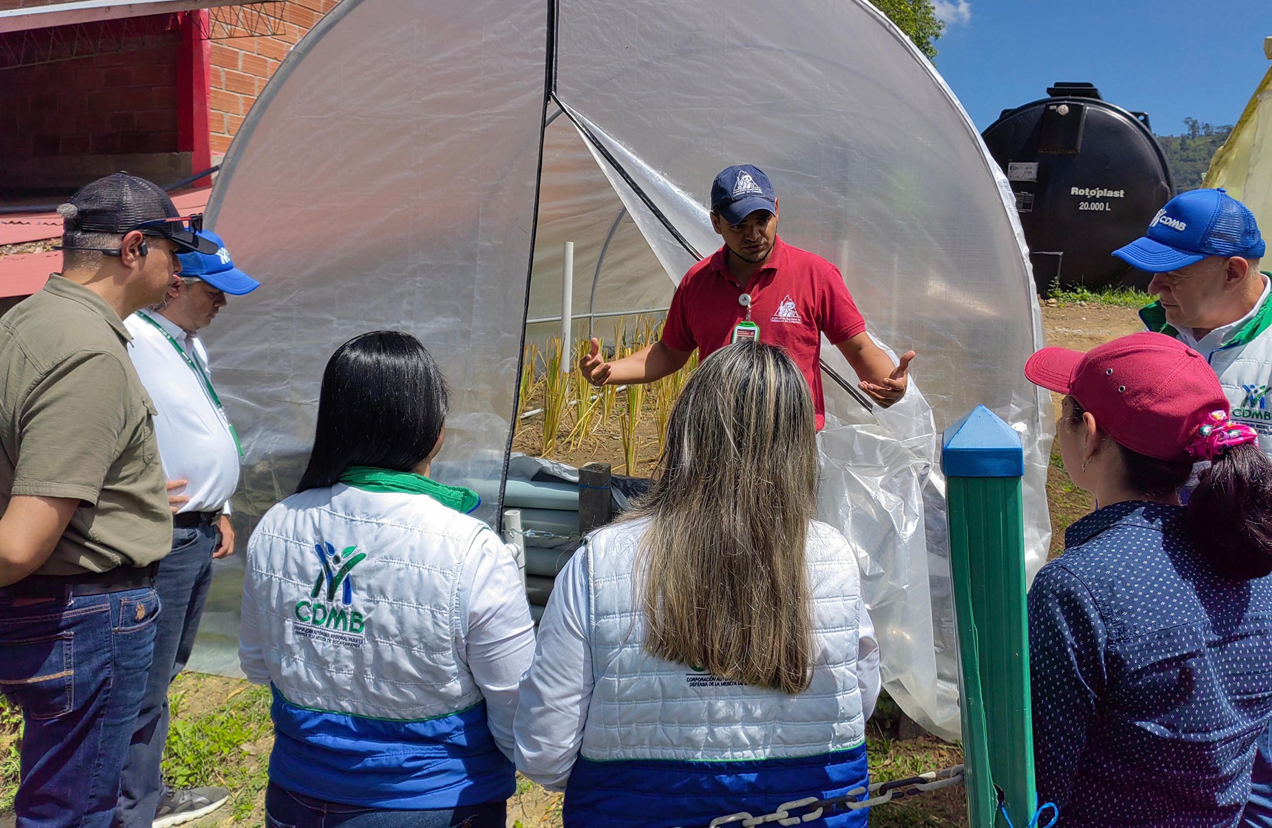 Alianza CDMB - Federación de Cafeteros impulsa la productividad sostenible de la región