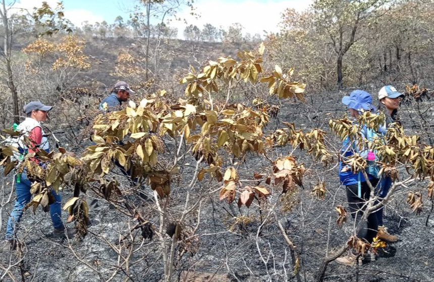 Incendio forestal en Girón afecta 45 hectáreas, la CDMB refuerza el llamado a la prevención