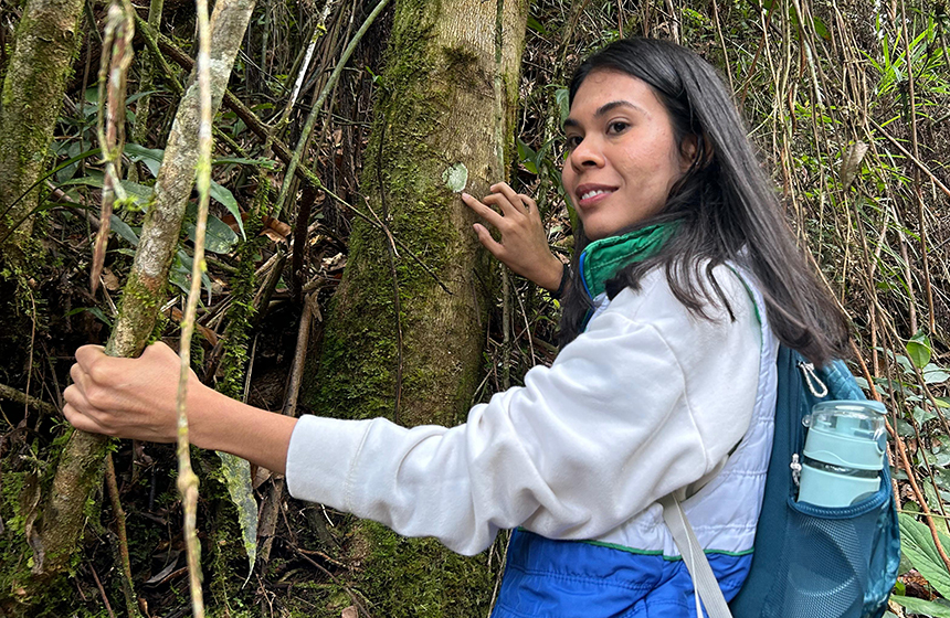  Descubrimiento de más de 120 especies de líquenes en el Cañón del Chicamocha impulsa la conservación del Bosque Seco Tropical en los Valles Interandinos