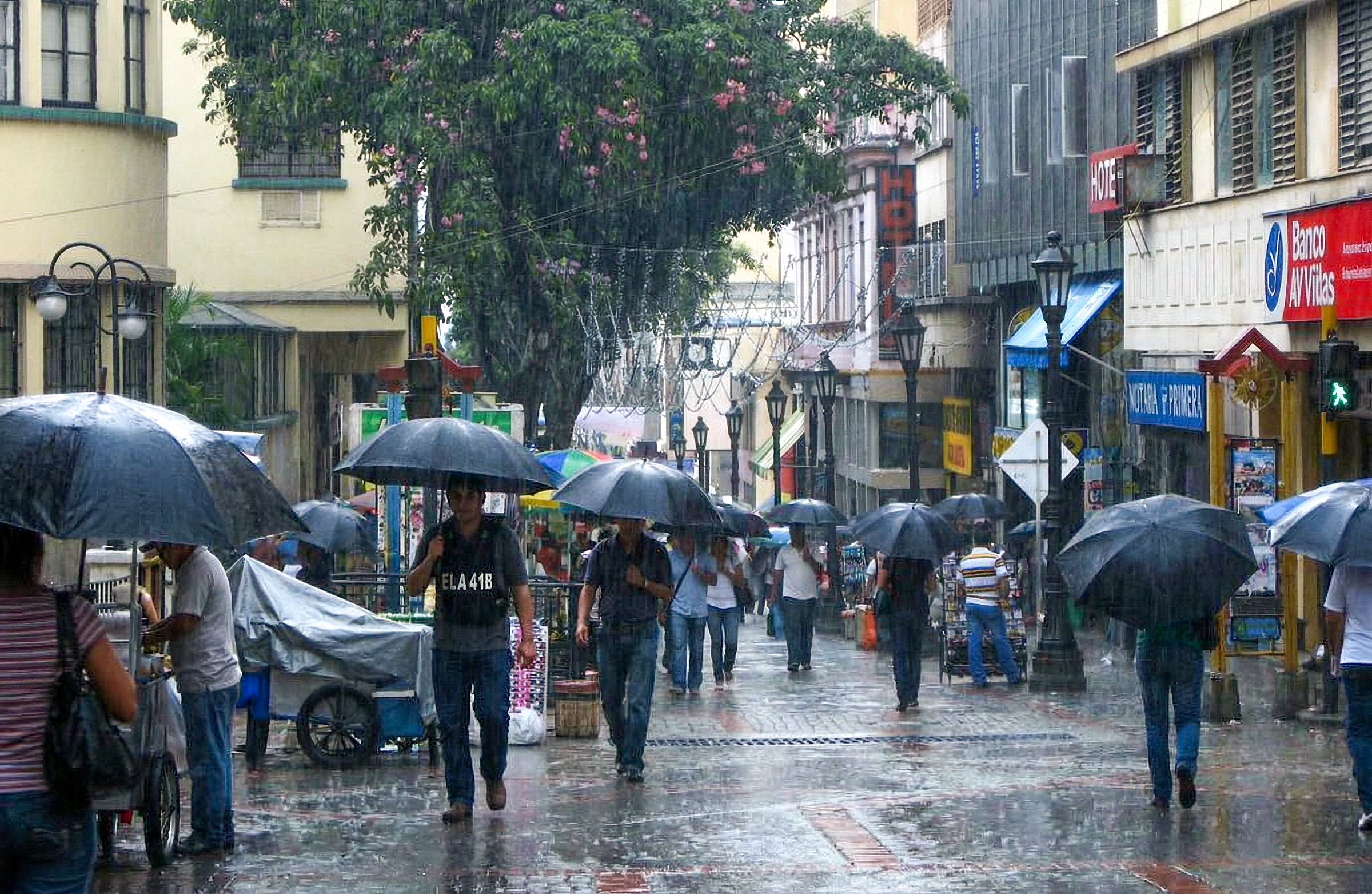   CDMB emite lineamientos para la primera temporada de lluvias de 2026